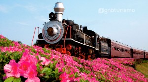 Vale dos Vinhedos saindo de Gramado