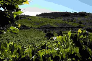 Vale dos Vinhedos saindo de Gramado