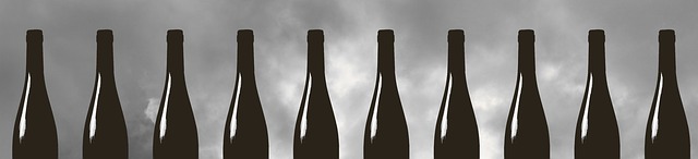 Tour Uva e Vinho vale a pena