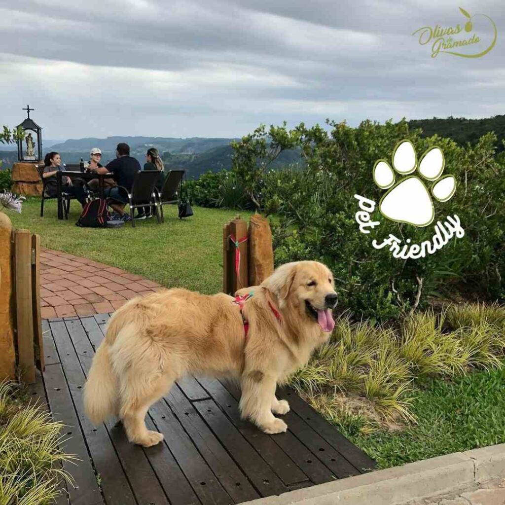 Parque Olivas de Gramado
