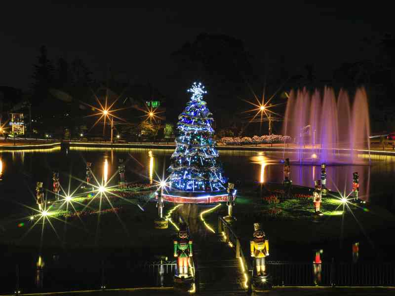 Espectaculos de Natal Luz - All You Need to Know BEFORE You Go (with Photos)